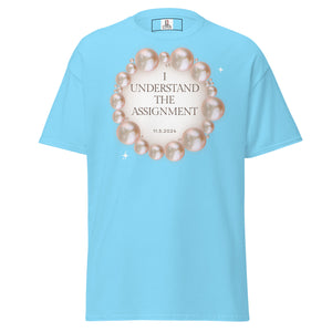 I Understand the Assignment Unisex classic tee