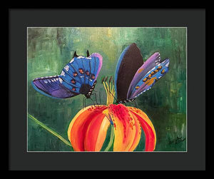 Butterfly Visits - Framed Print