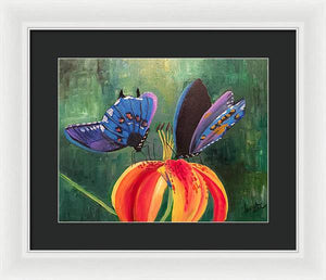 Butterfly Visits - Framed Print