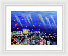 Load image into Gallery viewer, Here, Fishy Fishy - Framed Print