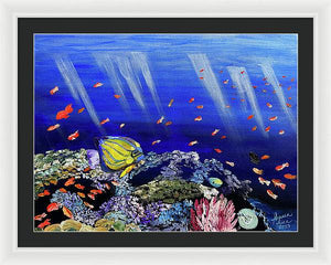 Here, Fishy Fishy - Framed Print