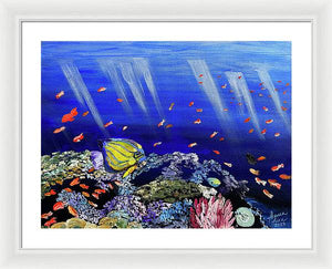 Here, Fishy Fishy - Framed Print