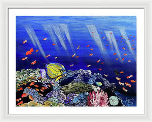 Here, Fishy Fishy - Framed Print