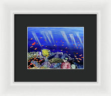 Load image into Gallery viewer, Here, Fishy Fishy - Framed Print